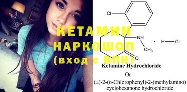 крисы Няндома