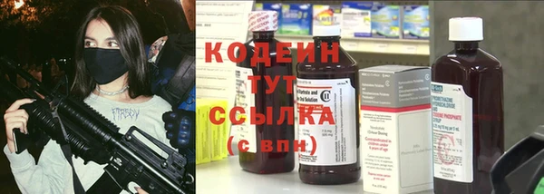 крисы Няндома