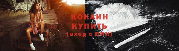 крисы Няндома