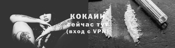 крисы Няндома
