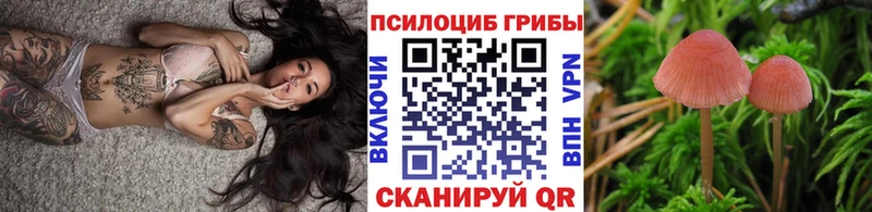 omg рабочий сайт  Малая Вишера  Псилоцибиновые грибы мицелий  дарнет шоп 