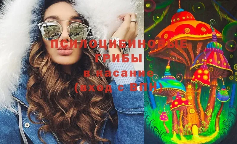 где купить наркоту  Малая Вишера  Галлюциногенные грибы Magic Shrooms 